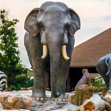 Зоопарк Dubai Safari Park по тарифу Explorer из Шарджи Зоопарк Dubai Safari Park по тарифу Explorer из Шарджи