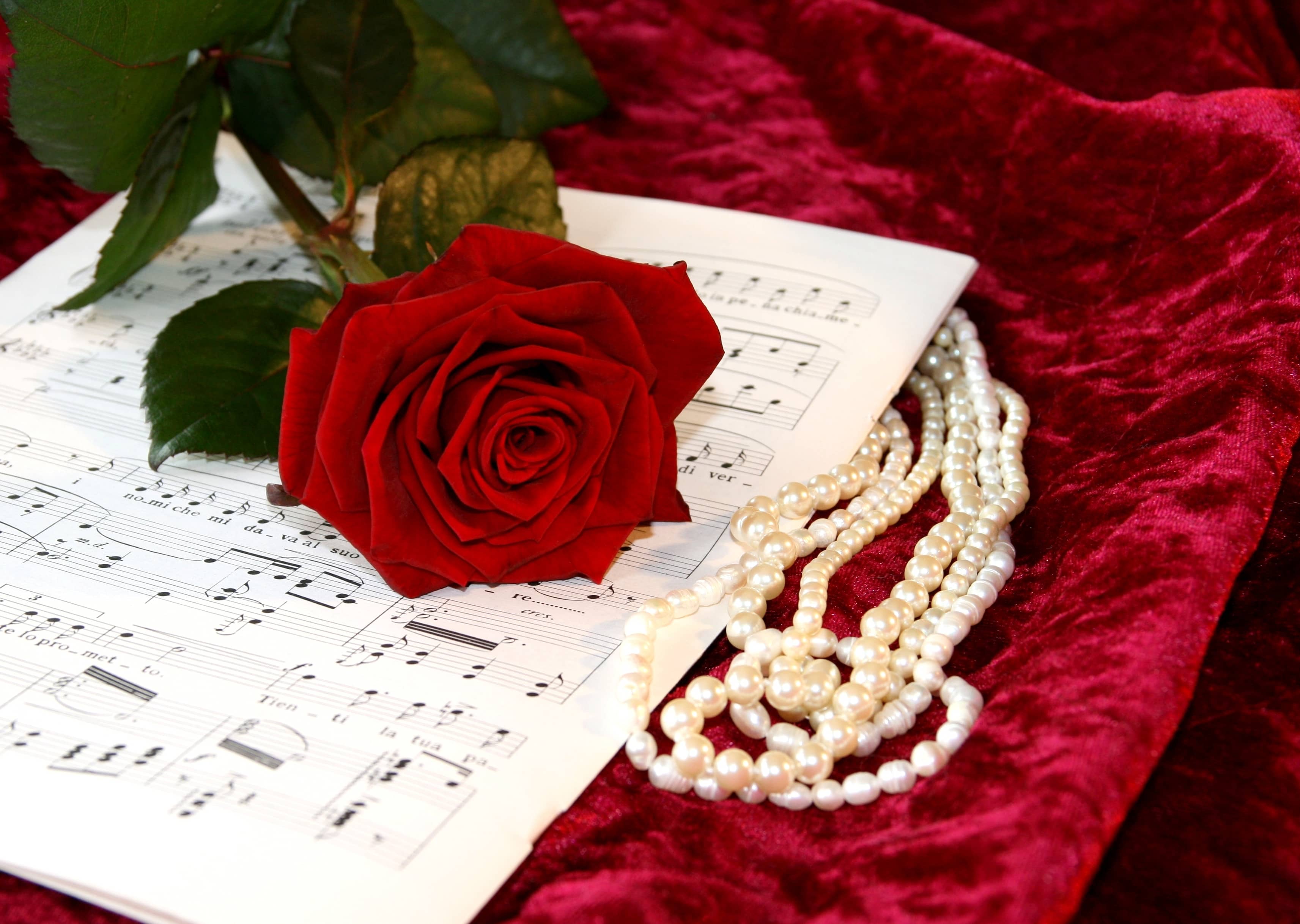 Концерт «Танго с помадой» со скидкой 40%