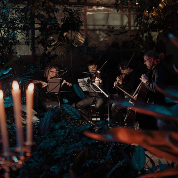 Концерт «Магия свечей. От Баха до Beatles» в Оранжерее Таврического сада Концерт «Магия свечей. От Баха до Beatles» в Оранжерее Таврического сада со скидкой 35%