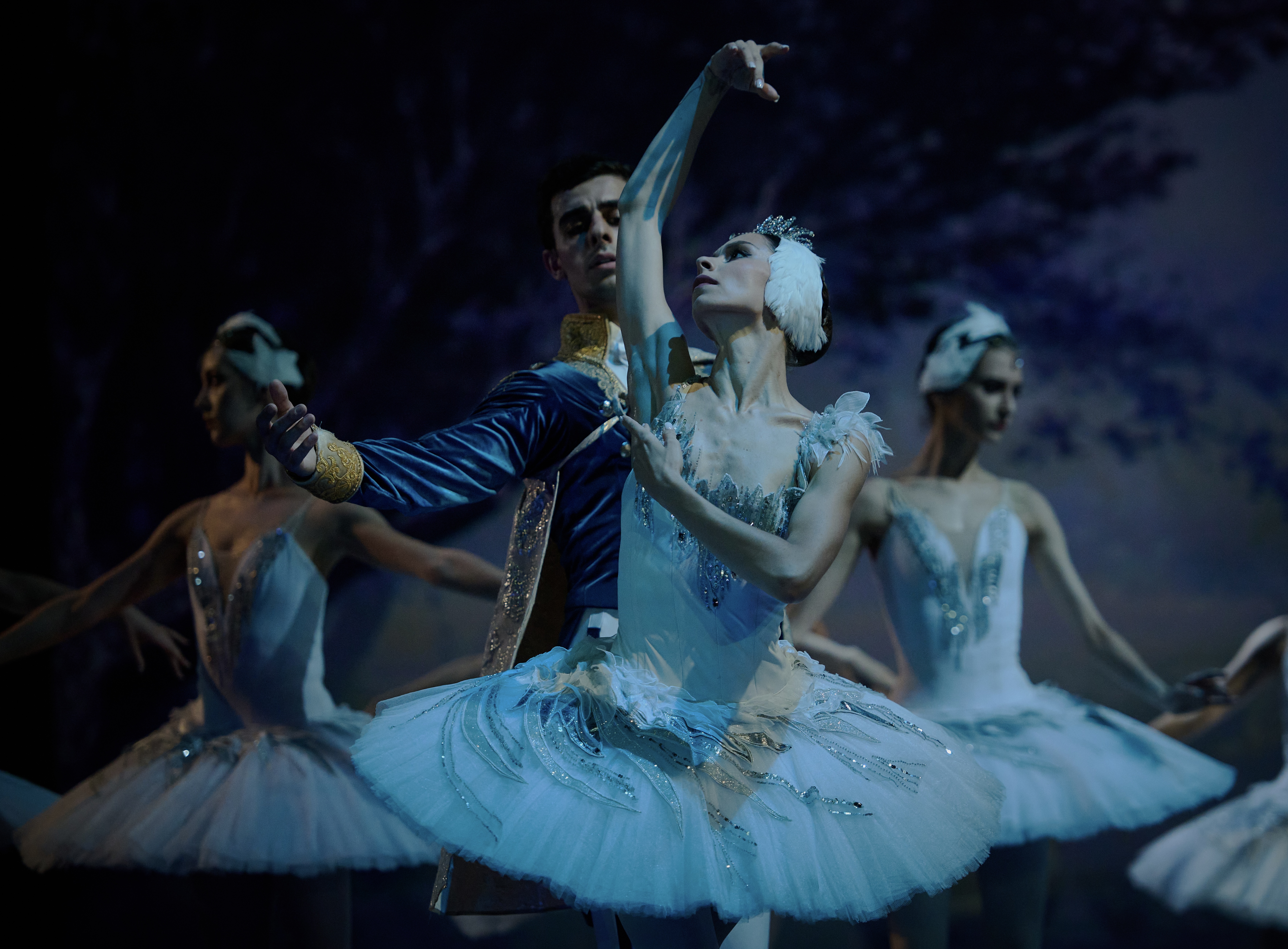 Балет «Лебединое озеро» с экскурсией по Владимирскому дворцу