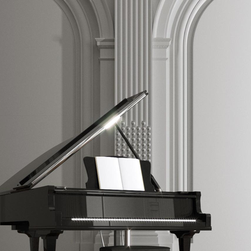 Экскурсия по особняку Шрёдера с фортепианным концертом «Бетховен» со скидкой 20%