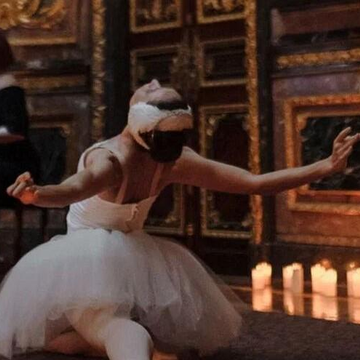 Концерт «Балет "Лебединое озеро" и не только» в особняке Половцова Концерт «Балет "Лебединое озеро" и не только» в особняке Половцова со скидкой 30%