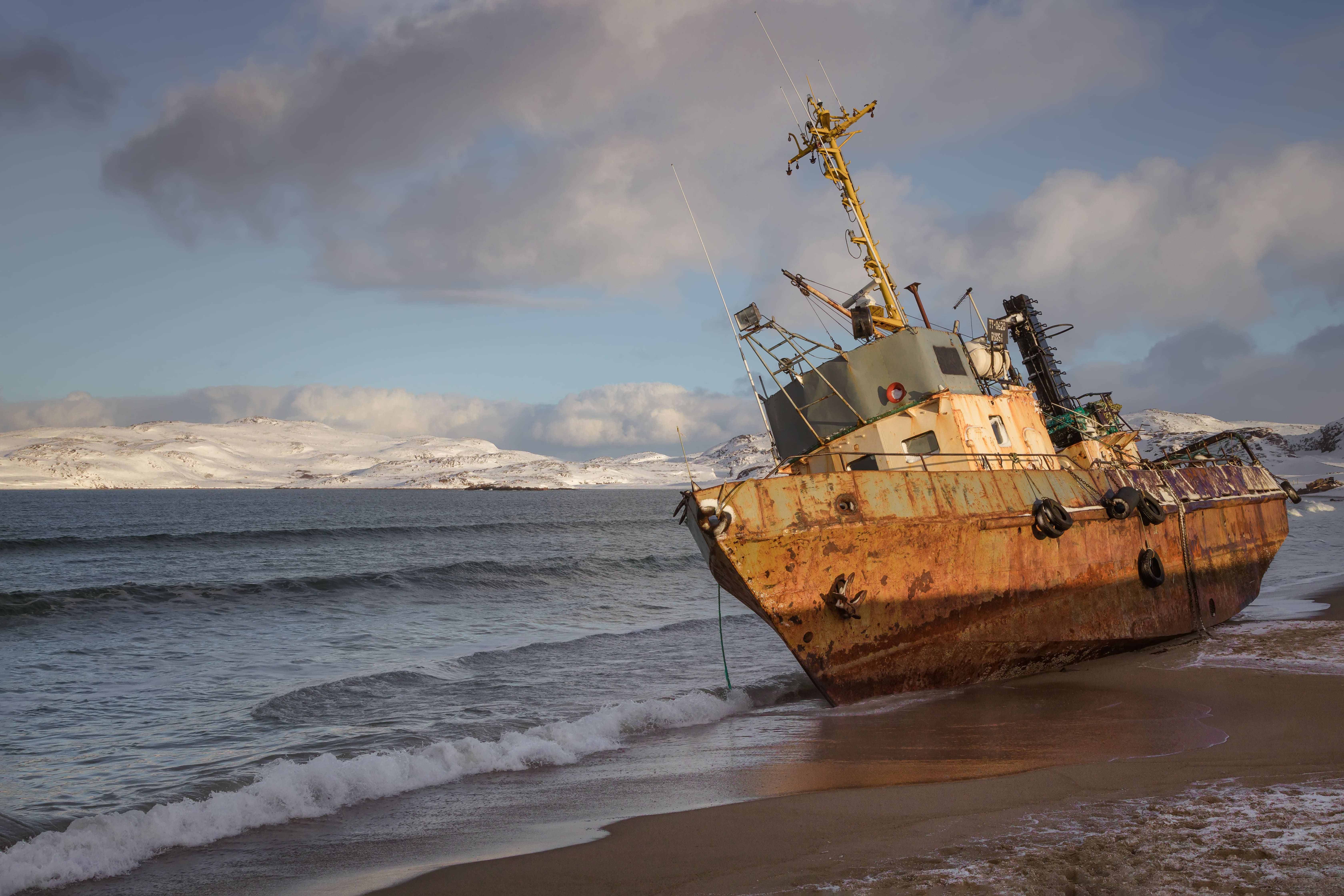 Морская прогулка с поиском китов в Териберке со скидкой 20%