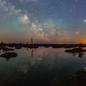 Экскурсия «Древнейшее болото Беларуси. Ельня» со скидкой 20%