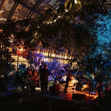 Концерт при свечах «ZAZ-трибьют» в Оранжерее Таврического сада Концерт при свечах «ZAZ-трибьют» в Оранжерее Таврического сада со скидкой 30%