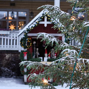 Автобусная экскурсия «Рождественский тур» со скидкой 20%