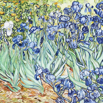 Экскурсия «Музей Ван Гога — прогулка длиною в жизнь»