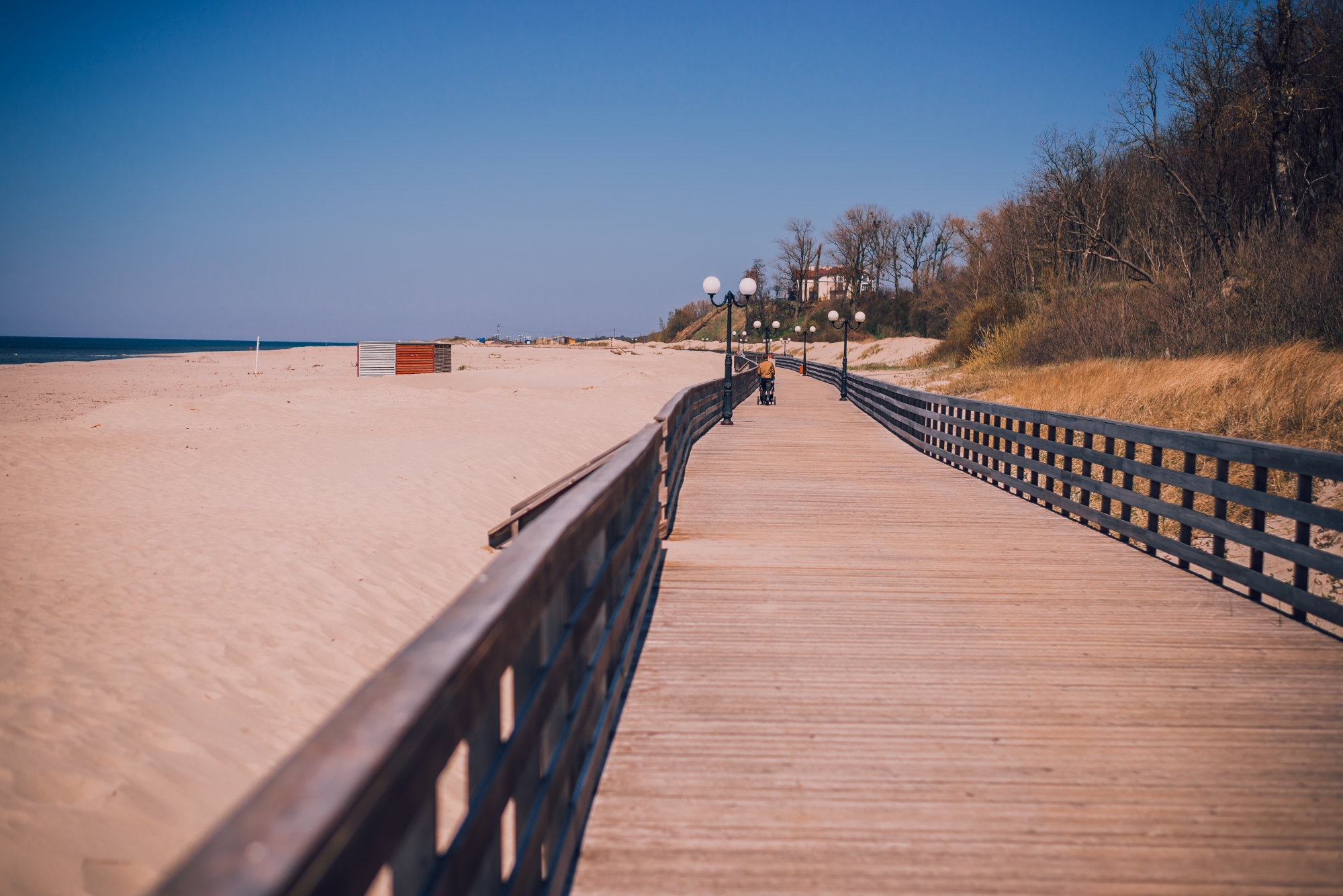 Автобусно-пешеходная экскурсия на Куршскую косу, в Зеленоградск и сыроварню Шаакендорф с дегустацией в мини-группе Автобусно-пешеходная экскурсия на Куршскую косу, в Зеленоградск и сыроварню Шаакендорф с дегустацией в мини-группе со скидкой 20%
