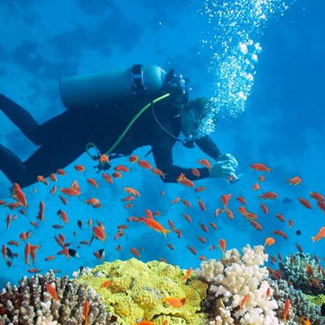 Дайвинг в заповедной зоне Большого Утриша со скидкой 25%