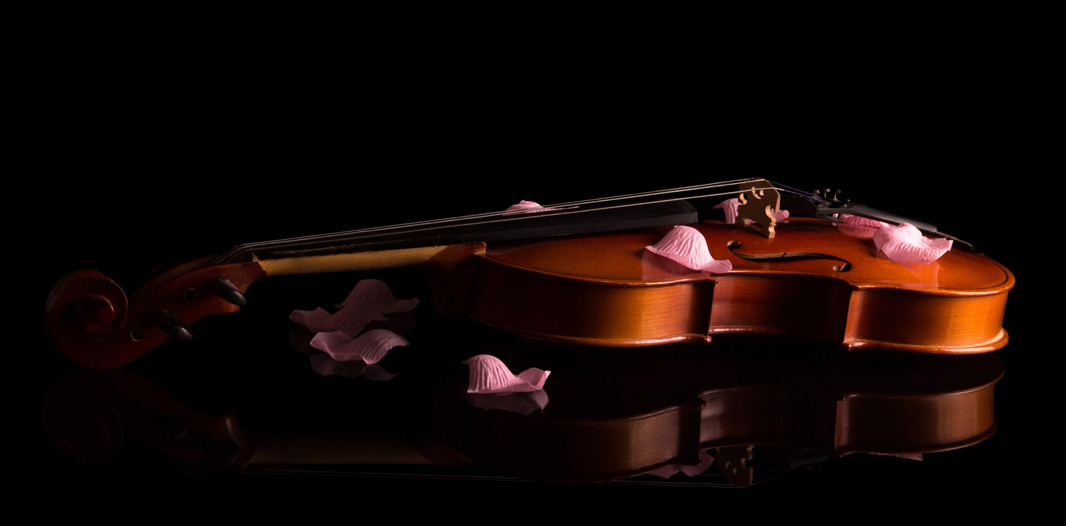 Концерт «Вивальди. Времена года» с экскурсией по Музею-усадьбе Г. Р. Державина со скидкой 30%