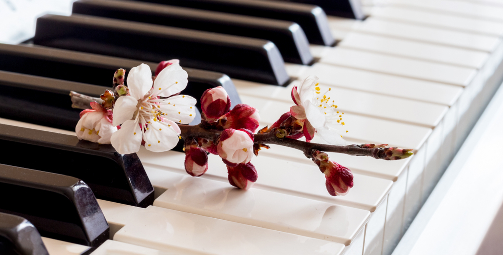 Органный концерт при свечах «Месяц Баха» со скидкой 30%