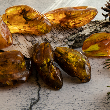 Автобусно-пешеходная экскурсия в Янтарный и Светлогорск Автобусно-пешеходная экскурсия в Янтарный и Светлогорск со скидкой 20%