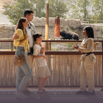 Зоопарк Dubai Safari Park из Фуджейры Зоопарк Dubai Safari Park из Фуджейры