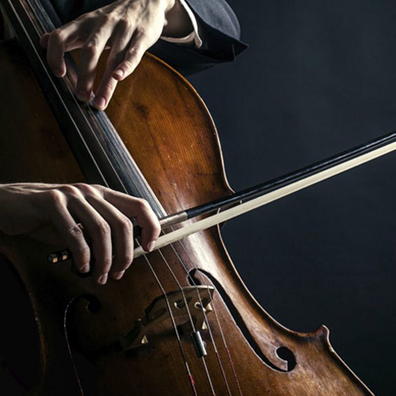 Концерт камерной музыки «Шедевры виолончельного искусства»