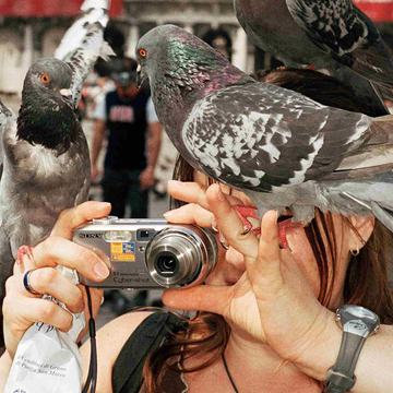 Кинопоказ «Я — Мартин Парр» на Новой сцене Александринского театра Кинопоказ «Я — Мартин Парр» на Новой сцене Александринского театра