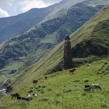 Экскурсия «Чечня: Грозный, Шали и Аргун» в мини-группе со скидкой 20%