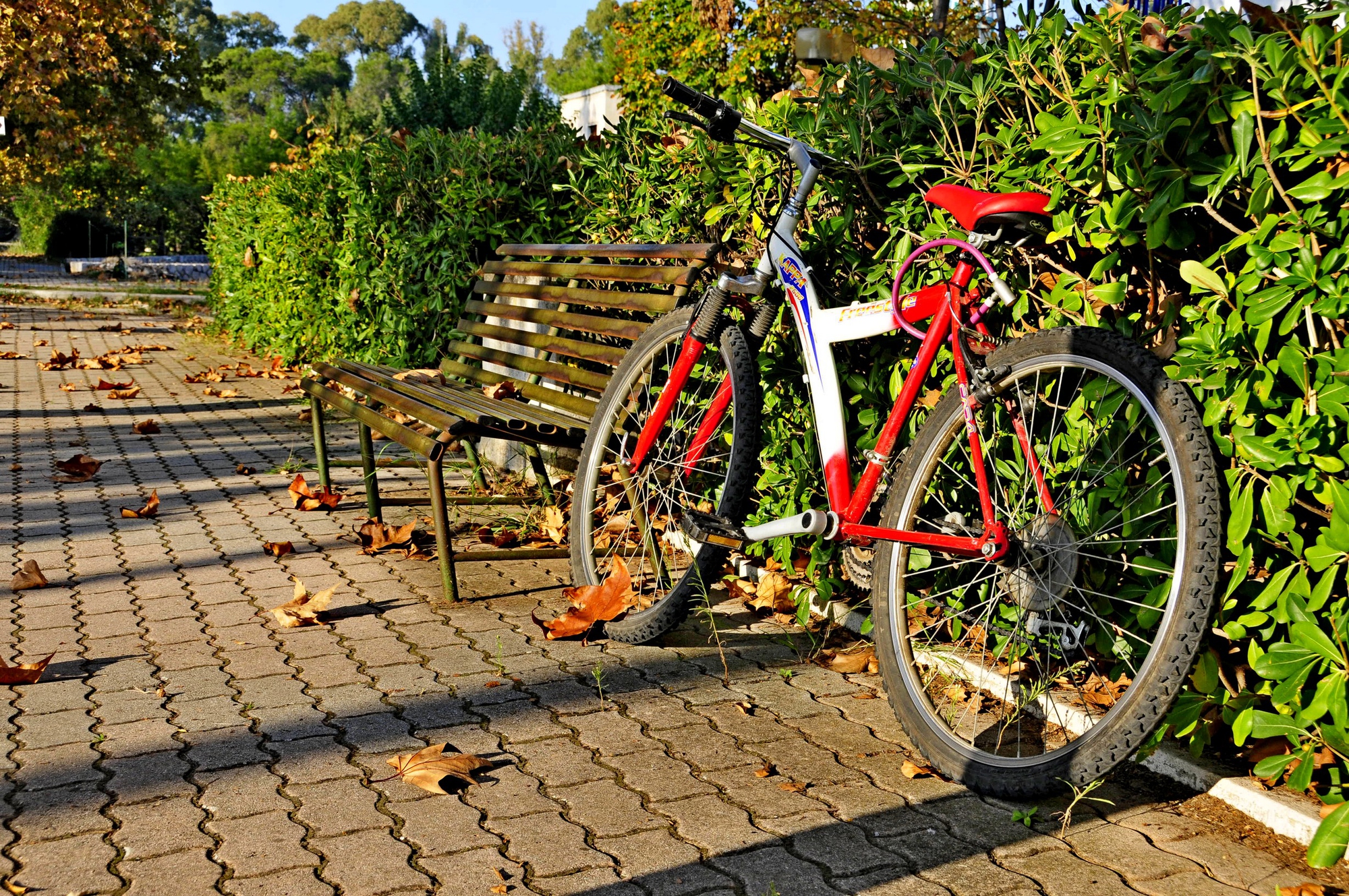 Велопрогулка по Калининграду и экскурсия в Светлогорске с обедом со скидкой 20%