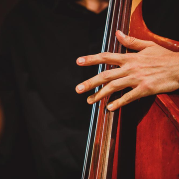 Концерт при свечах «От Вивальди до рок-хитов» в Оранжерее Таврического сада Концерт при свечах «От Вивальди до рок-хитов» в Оранжерее Таврического сада со скидкой 30%