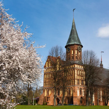 Экскурсии по городам России до 1000 ₽