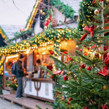 Новогодние каникулы в Калининграде: что посмотреть и куда поехать