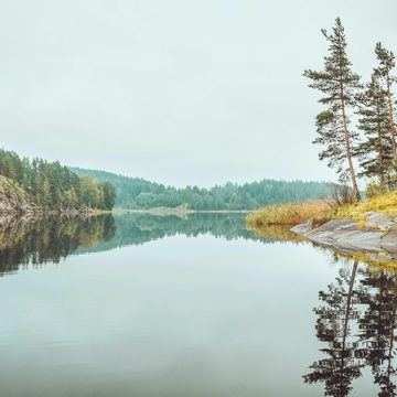 Однодневный тур «Лучшее в Карелии: водопады, лес, уха и музей в скале» Однодневный тур «Лучшее в Карелии: водопады, лес, уха и музей в скале» со скидкой 48%