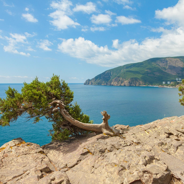 Гастроэкскурсия «Вино. Море. Улитки»