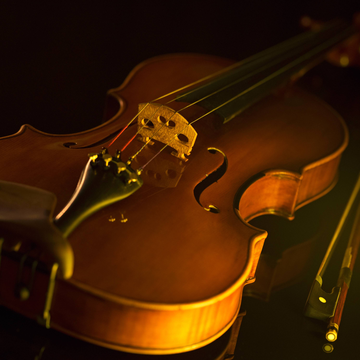 Концерт «Времена года» Вивальди и шедевры классики» во Владимирском дворце с экскурсией Концерт «Времена года» Вивальди и шедевры классики» во Владимирском дворце с экскурсией со скидкой 30%