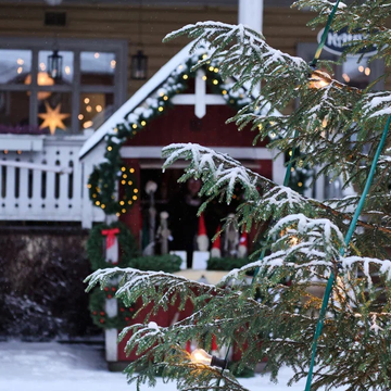 Концерт «Органное Рождество при свечах» Концерт «Органное Рождество при свечах» со скидкой 30%