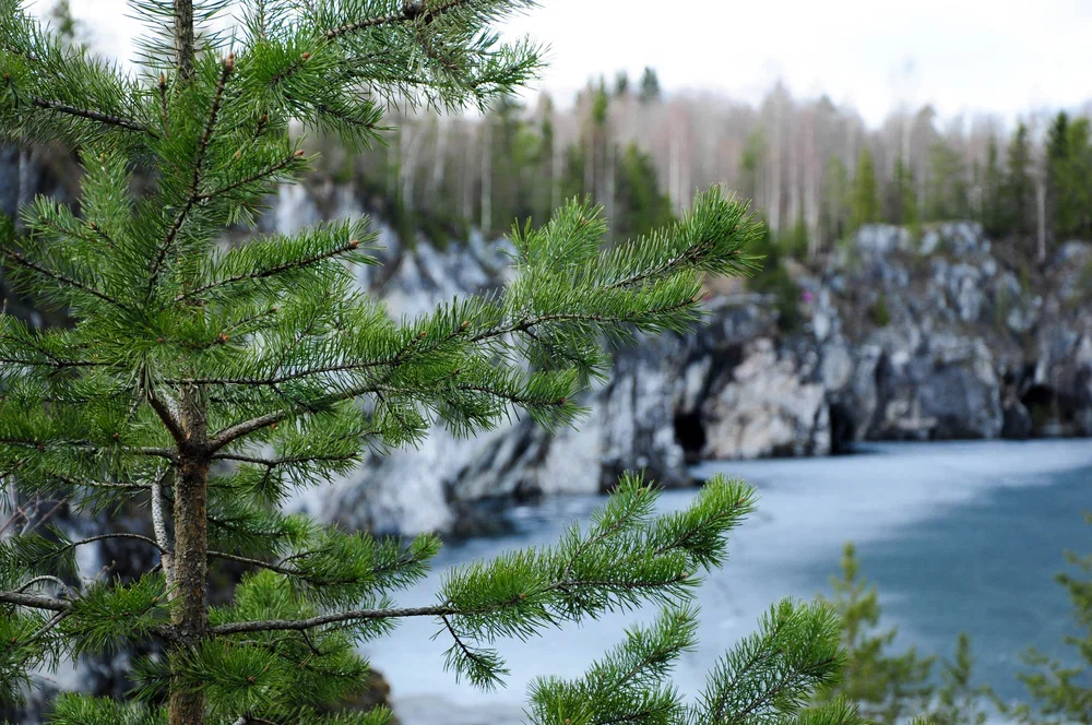 Двухдневный тур «Сафари по водопадам Карелии и парк «Рускеала» со скидкой до 47%