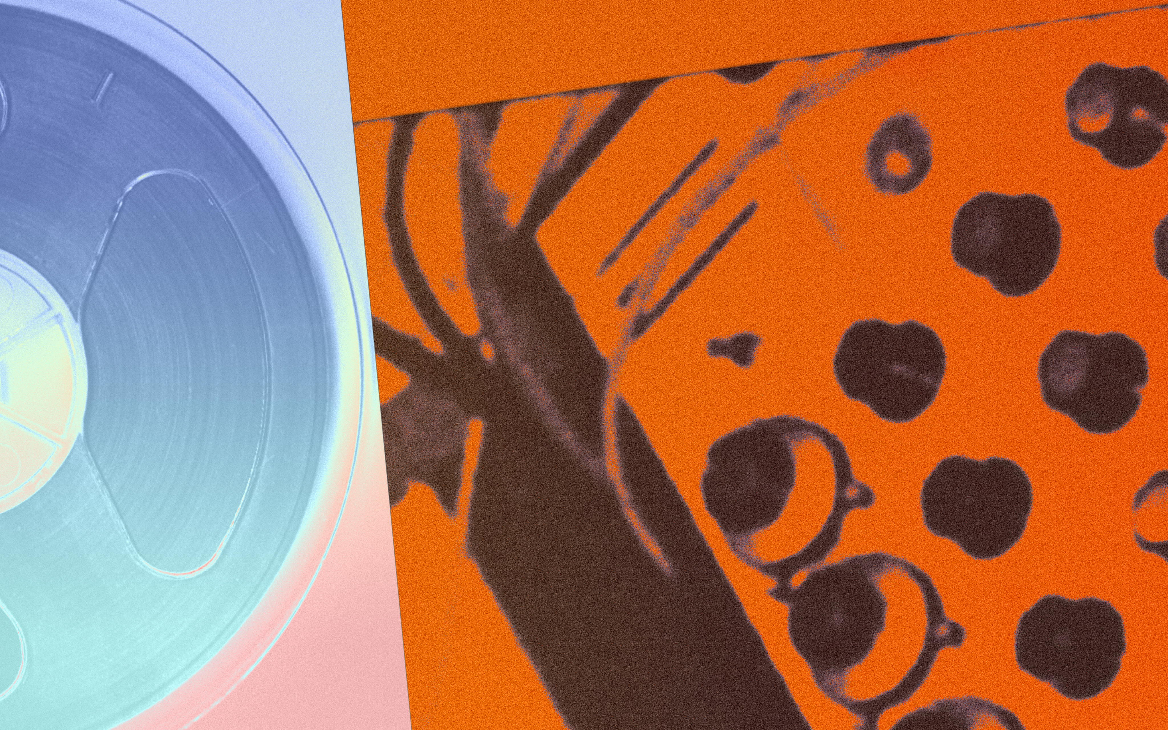 Эмбиент-фестиваль «ИНО»: аудиоперформанс «СимфоКэт / КРЧСА»