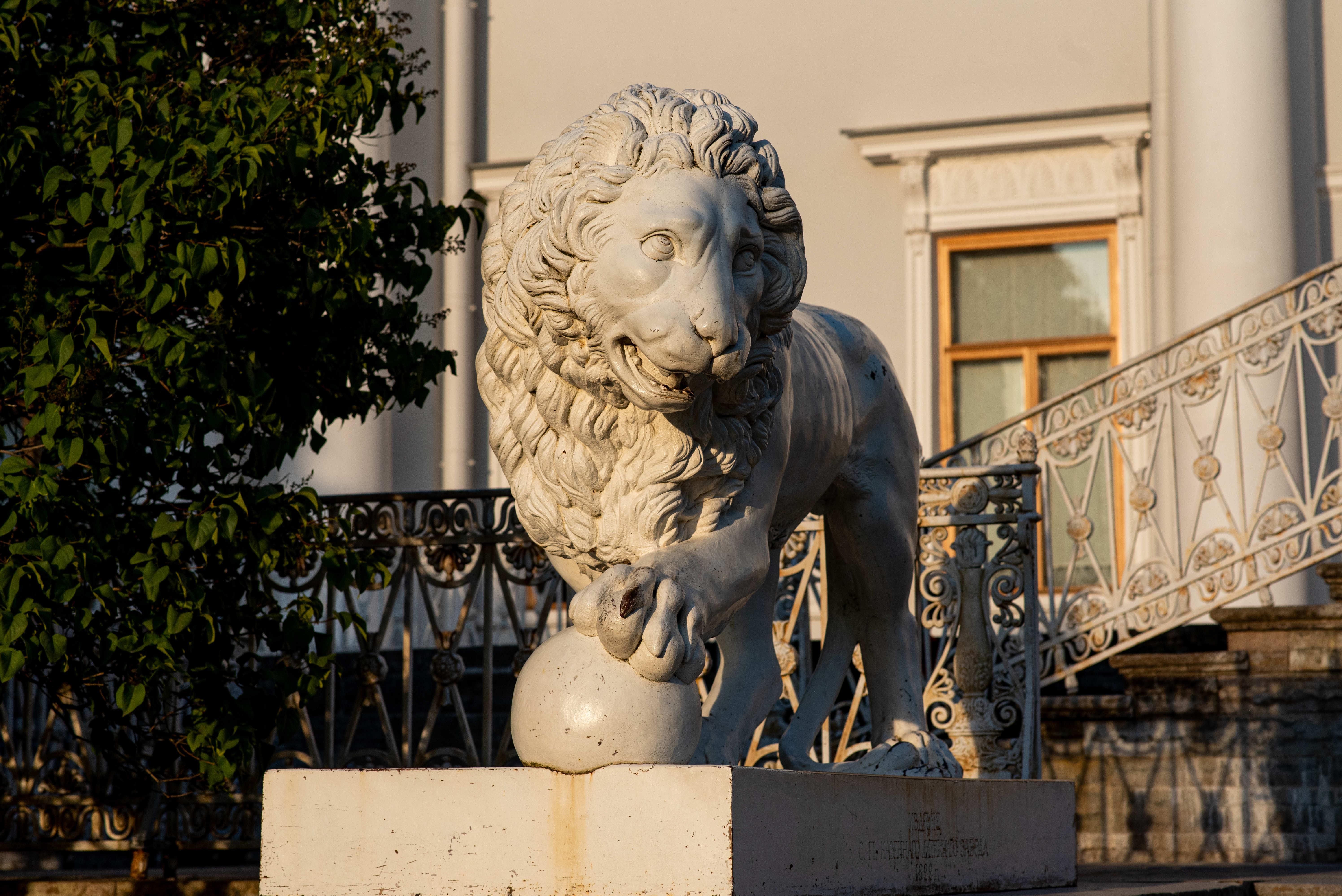 Львы в Петербурге