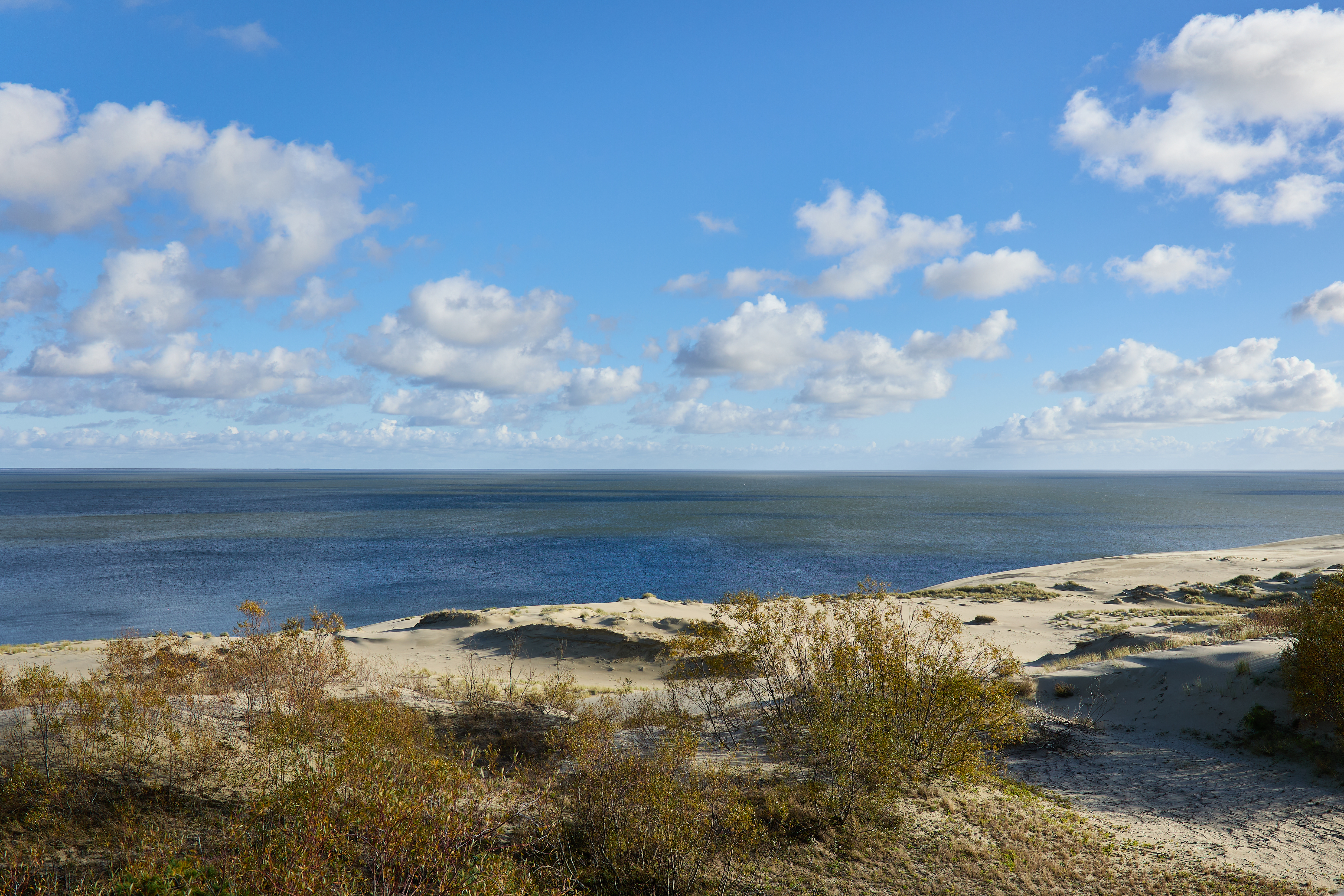 Аудиоэкскурсия «Куршская коса: автопутешествие с аудиогидом по стране гнёзд»