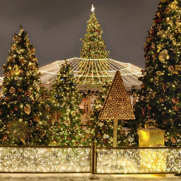 Новогодний концерт «What a wonderful world: Синатра, Армстронг и музыка Голливуда» со скидкой 30%