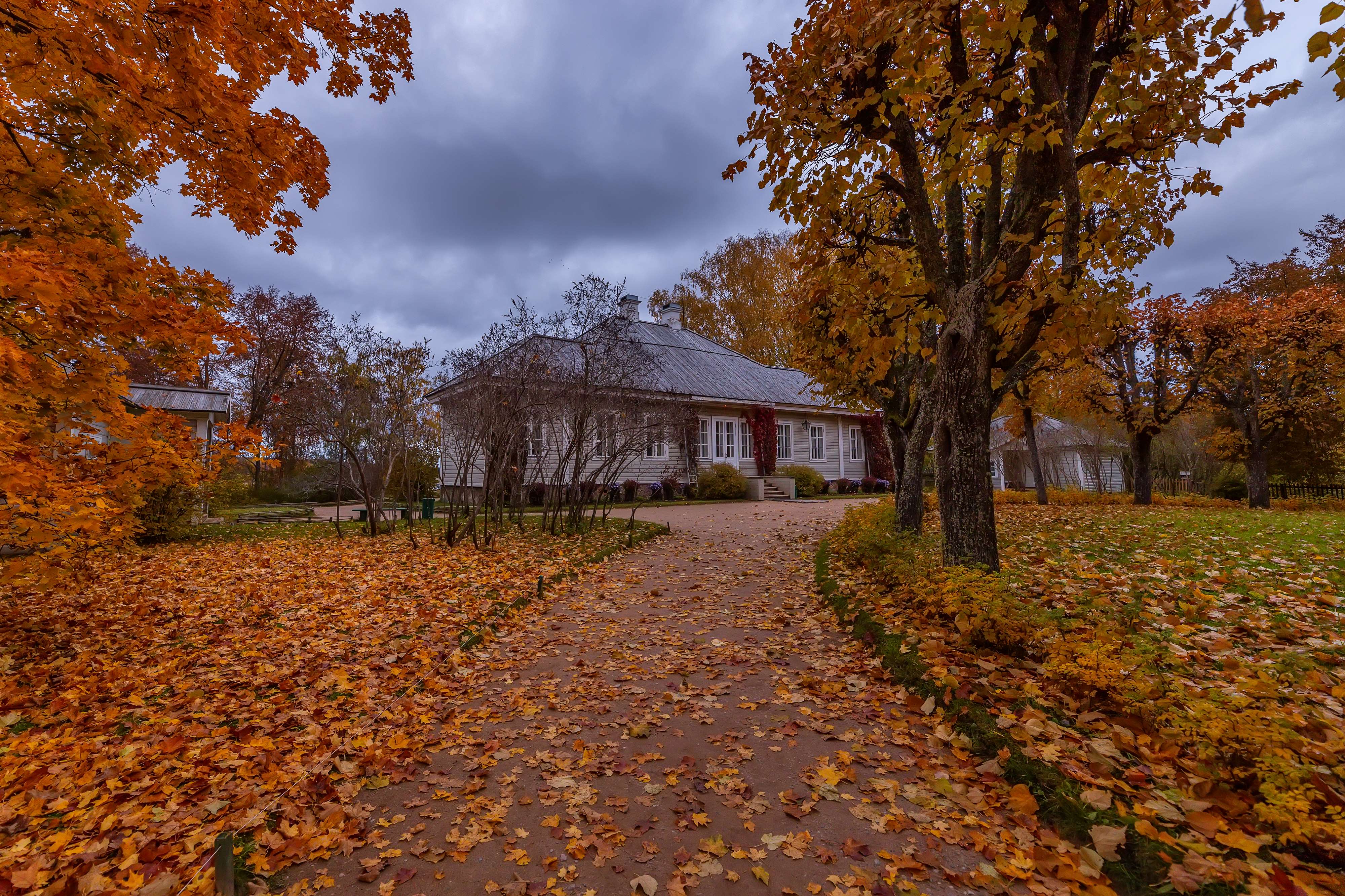 Однодневный тур в мини-группе «Пушкинские Горы, "Тригорское" и подвесные мосты города Остров»