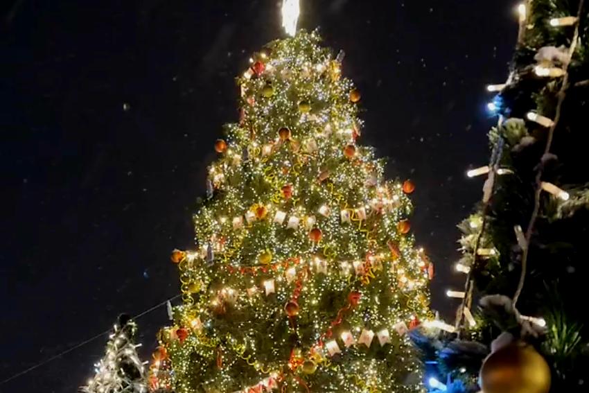 Елка из Кронштадта стала лучшей в стране по мнению россиян