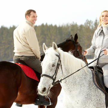 Прогулка на пони и лошадях по лесопарку в Малом Заречье со скидкой 52%