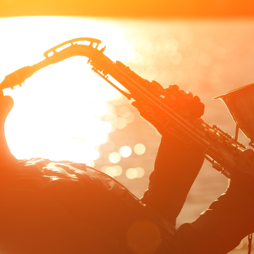 Концерт «Романтический джаз при свечах» в Оранжерее Таврического сада со скидкой 30%