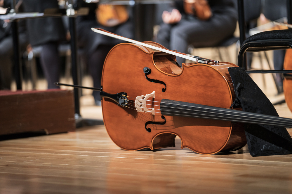 Концерт «Atomic Cellos: рок-хиты на виолончелях» и экскурсия по Дому Паниной со скидкой до 31%