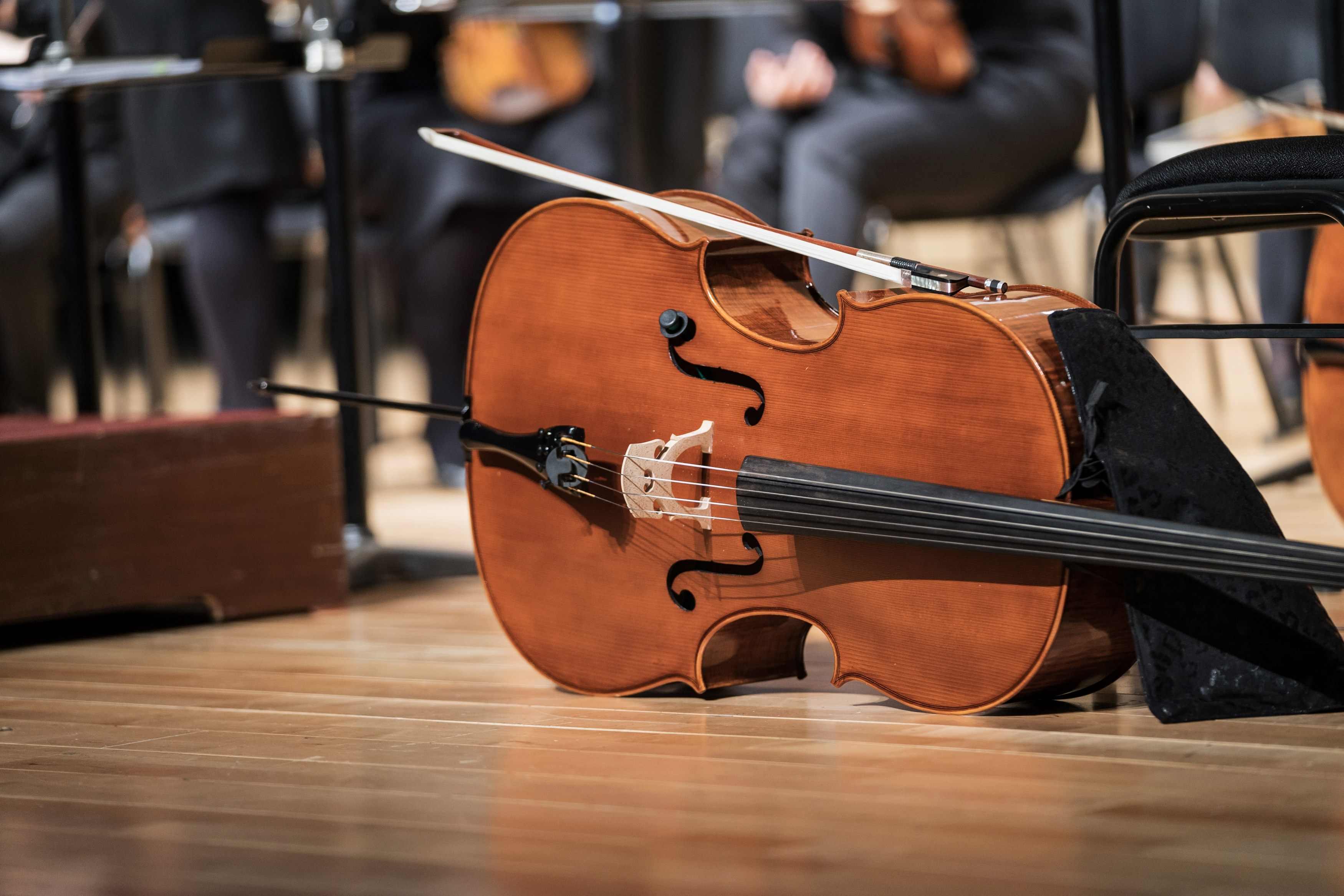 Концерт «Времена года» Вивальди и шедевры классики во дворце» с экскурсией в Особняке М. Кшесинской со скидкой 30%
