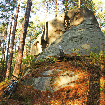 Индивидуальная экскурсия «Дары природы» со скидкой 20%