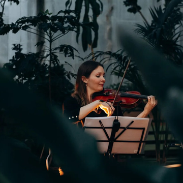 КонцертывОранжерееТаврическогосадасоскидкамидо50%