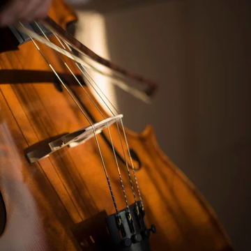 Концерт «Музыканты и звери» в Пушкинской кирхе со скидкой Концерт «Музыканты и звери» в Пушкинской кирхе со скидкой 20%