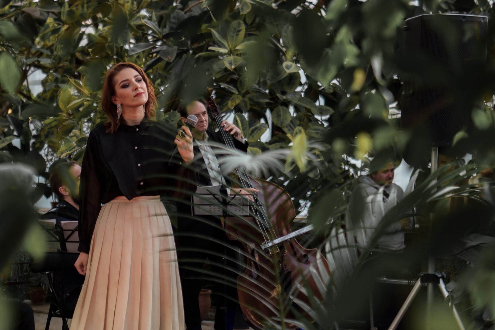 Концерт при свечах «Новогодние хиты ABBA и не только» в Оранжерее Таврического сада со скидкой 30%