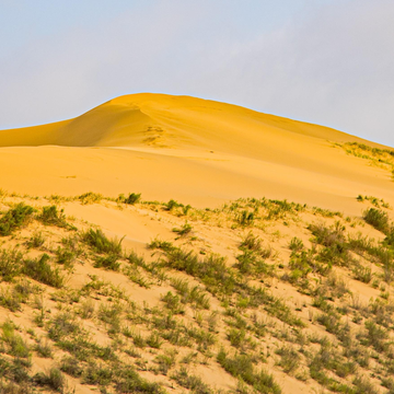 Экскурсия «Сулакский каньон и бархан Сарыкум» с обедом