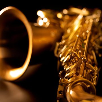 Концерт «Бах и Джаз. Орган, джаз-трио, голос» в Петрикирхе Концерт «Бах и Джаз. Орган, джаз-трио, голос» в Петрикирхе со скидкой 40%