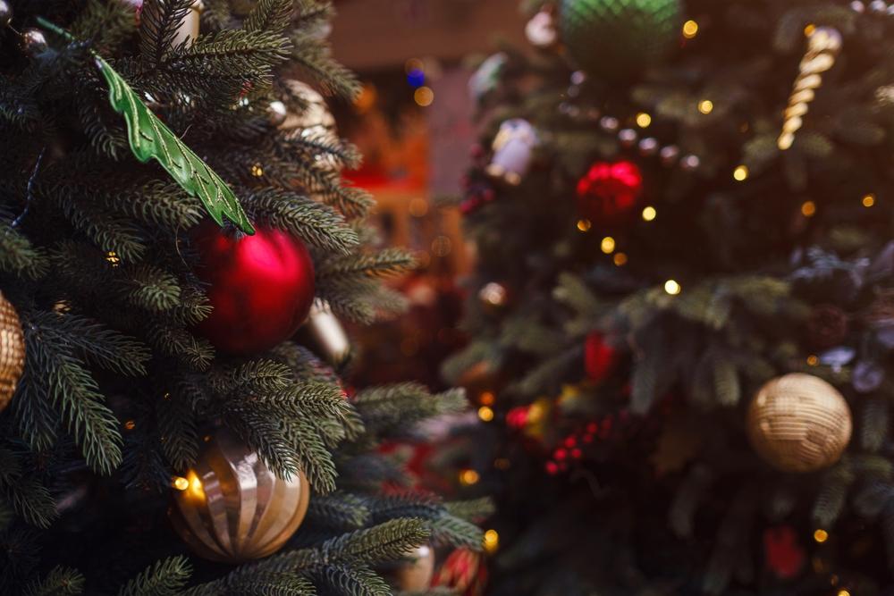 В Петербурге установили первую новогоднюю ёлку в 2025 году