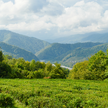 Индивидуальная экскурсия «Уральская Швейцария: Сим — Миньяр — Аша» со скидкой 20%