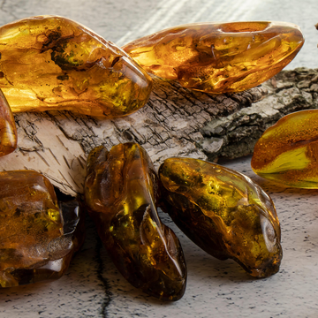 Автобусная экскурсия в Янтарный и Светлогорск с посещением производства янтаря со скидкой 20%