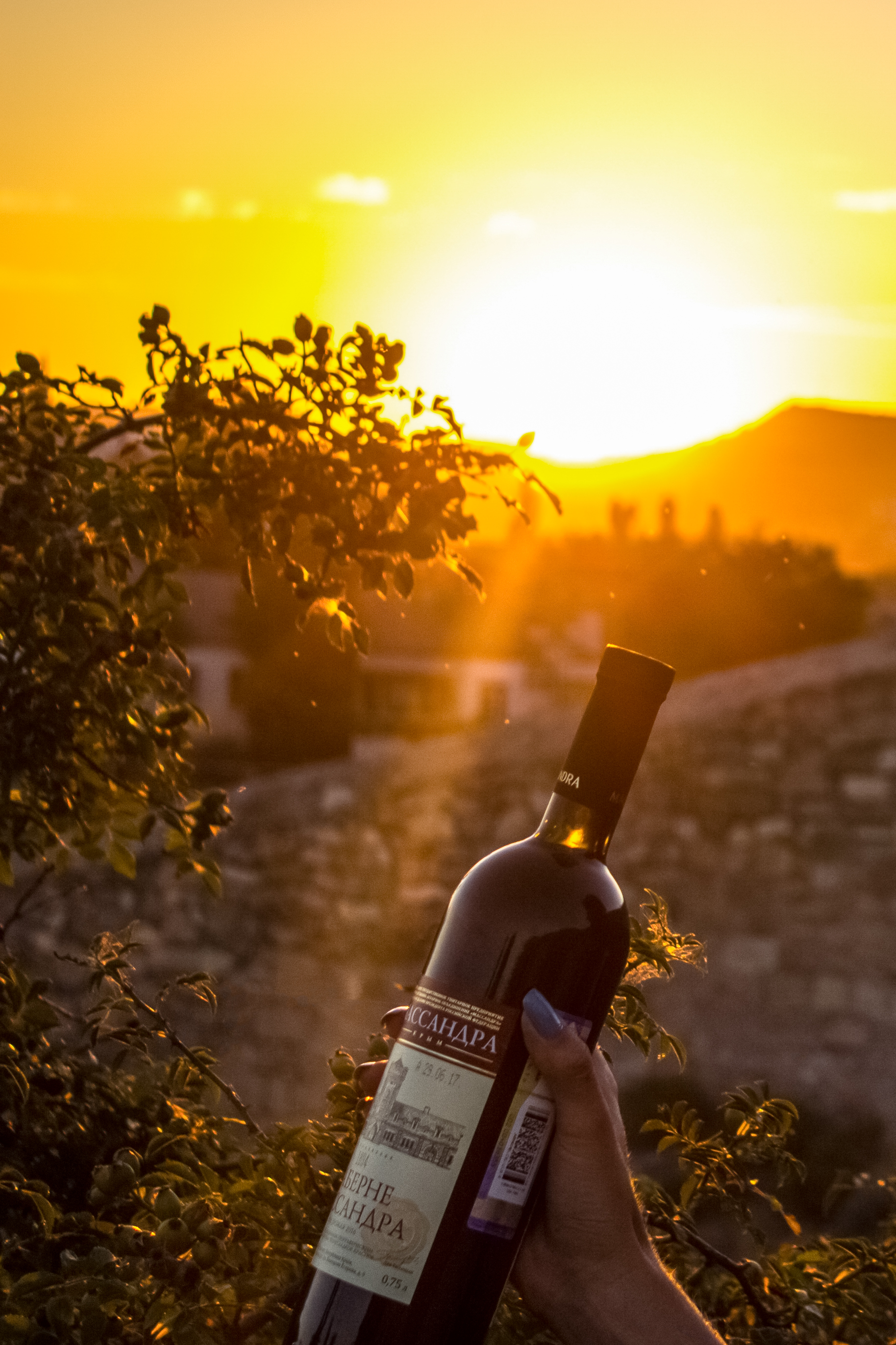 Автобусная экскурсия «Ода виноградной лозе» с дегустацией вин со скидкой 20%