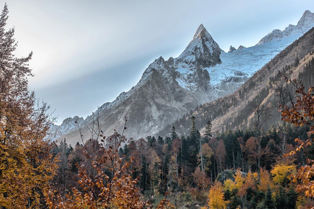 Автобусно-пешеходная экскурсия в Домбай со скидкой 20%